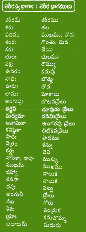 Telugu meaning of nephew